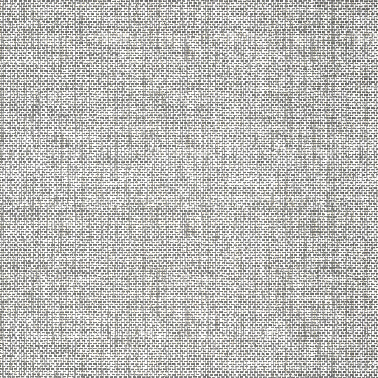 Thibaut PALAWAN Charcoal Wallpaper