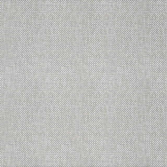 Thibaut PALAWAN Charcoal Wallpaper