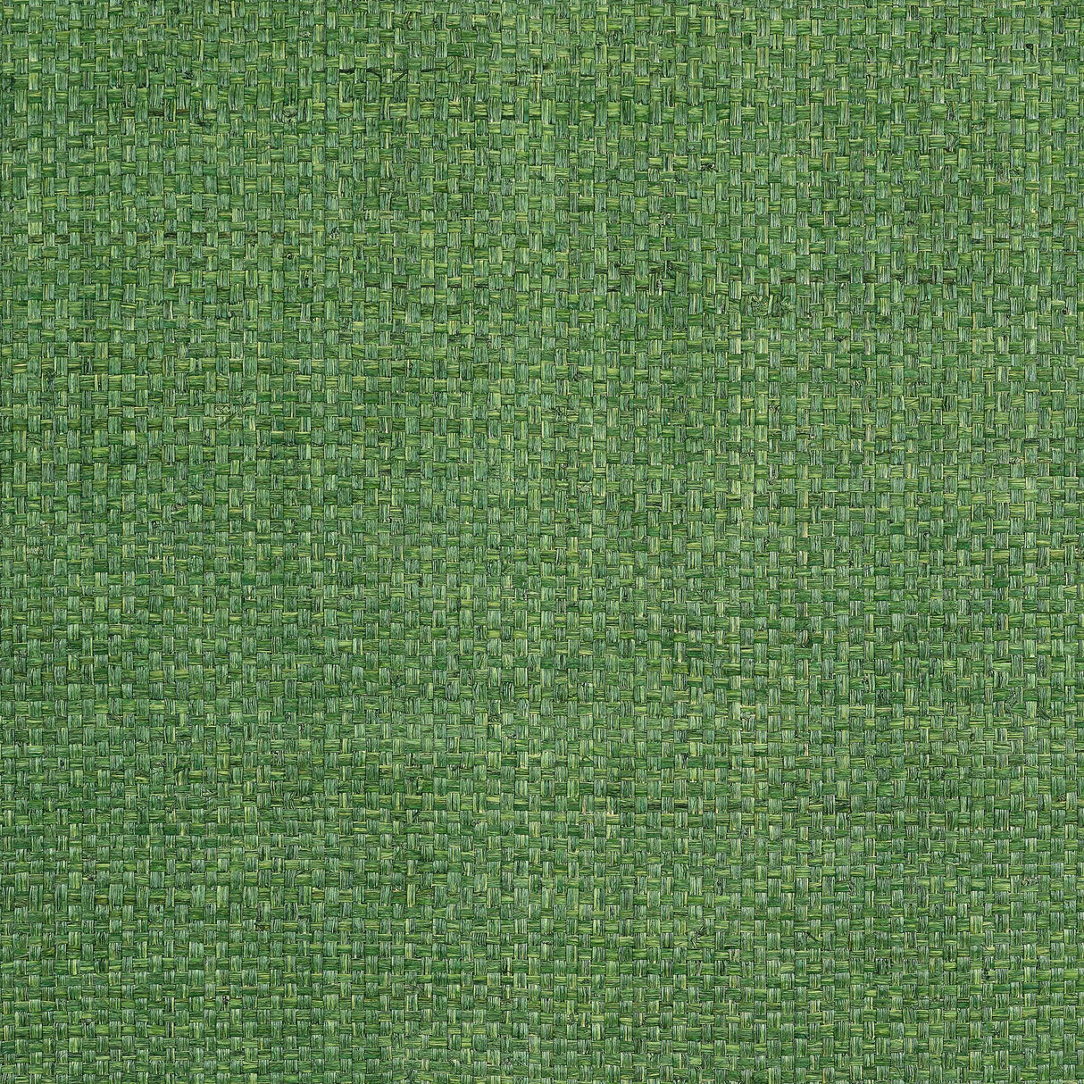 Thibaut LAUDERDALE Green Wallpaper