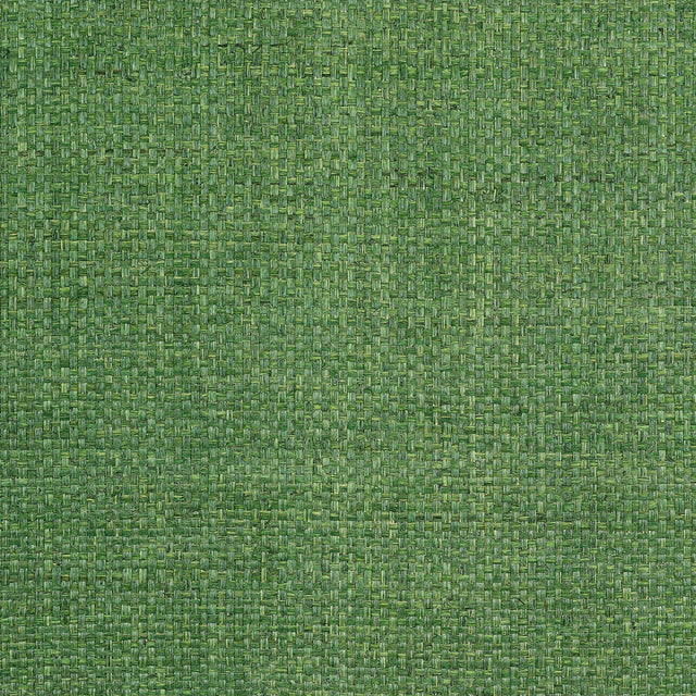 Thibaut LAUDERDALE Green Wallpaper