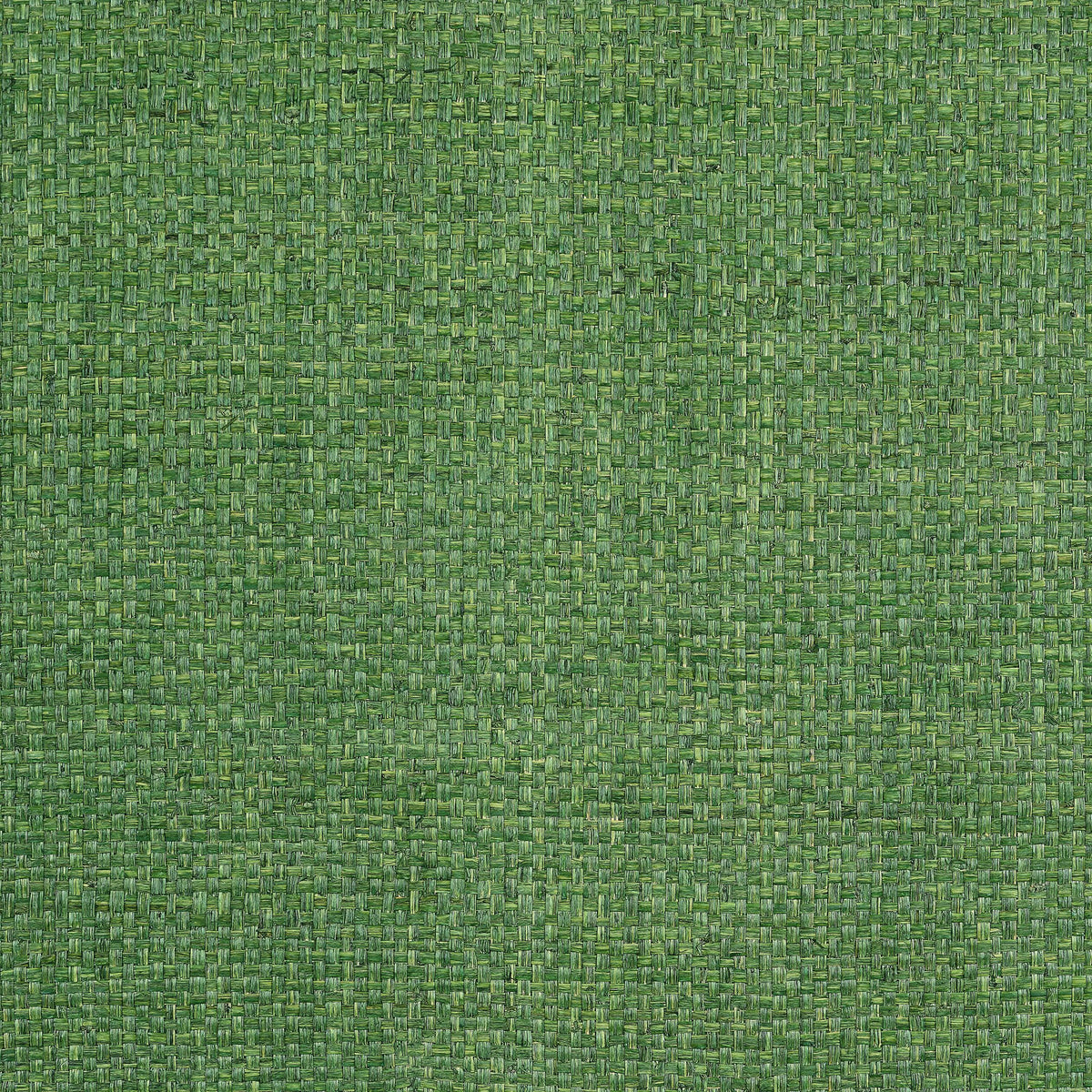 Thibaut Lauderdale Green Wallpaper