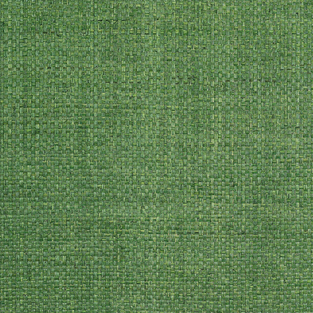 Thibaut Lauderdale Green Wallpaper