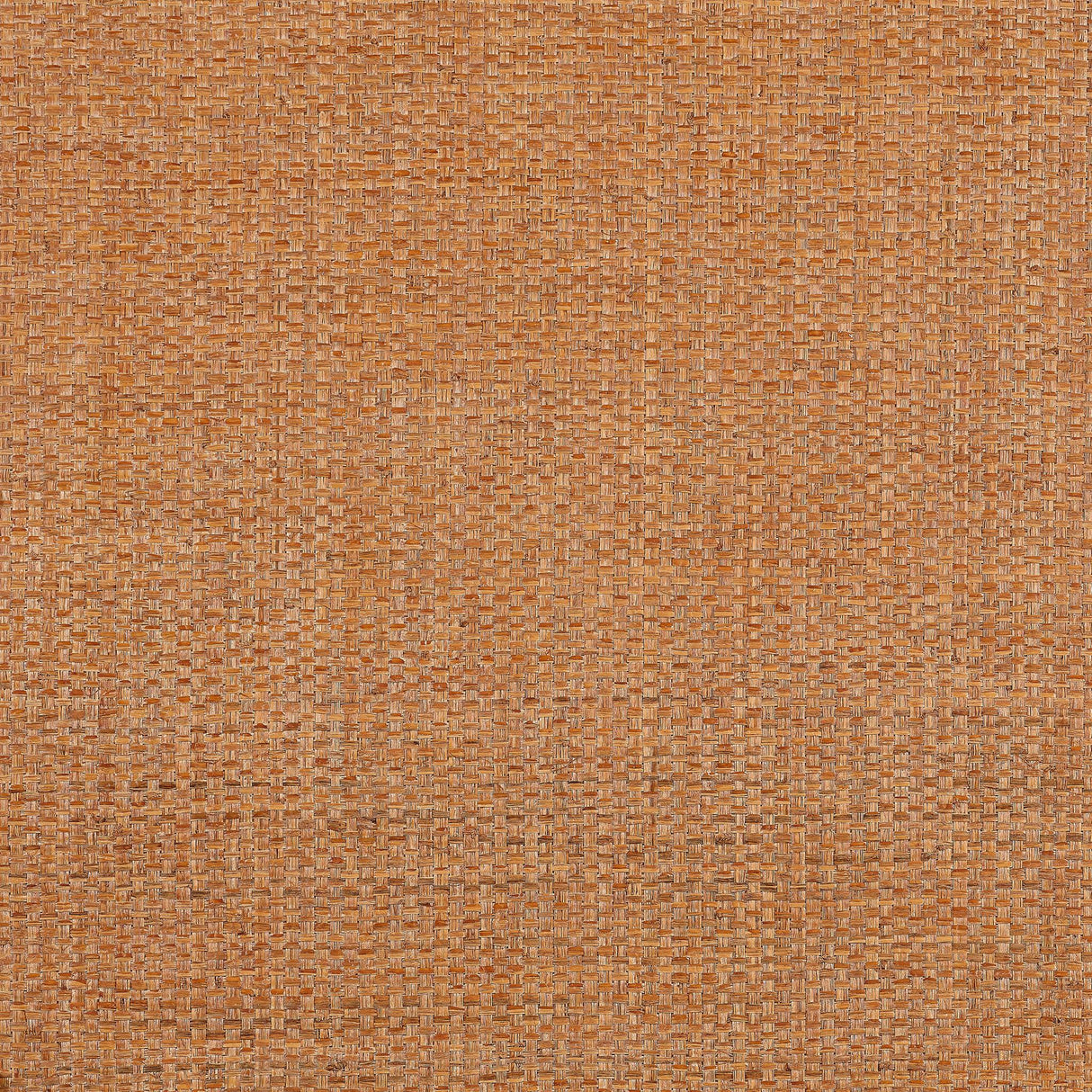 Thibaut LAUDERDALE Pumpkin Wallpaper