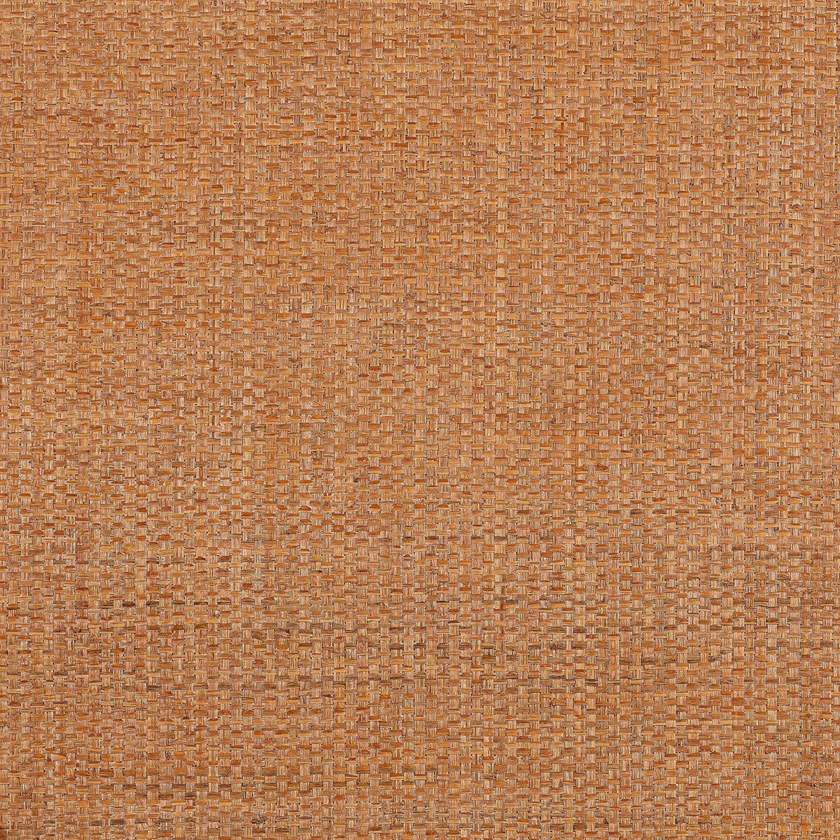 Thibaut Lauderdale Pumpkin Wallpaper