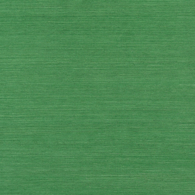 Thibaut SHANG EXTRA FINE SISAL Emerald Green Wallpaper