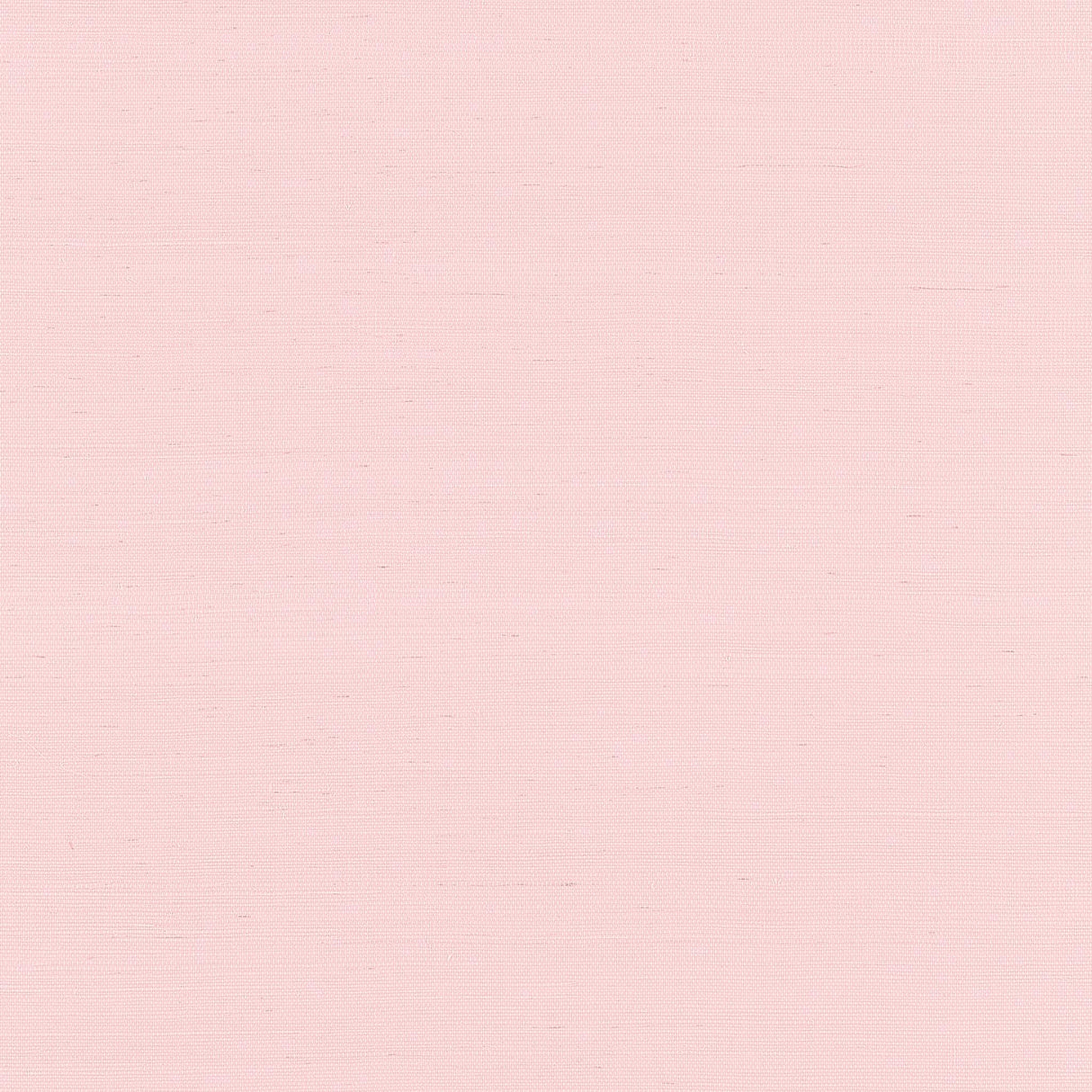 Thibaut SHANG EXTRA FINE SISAL Shell Wallpaper