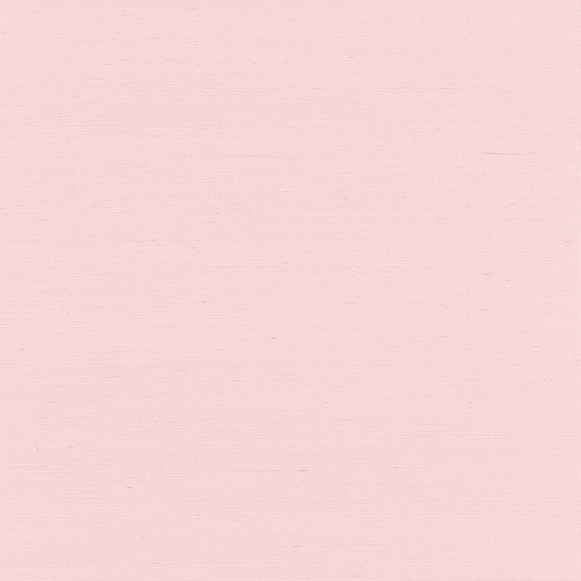 Thibaut SHANG EXTRA FINE SISAL Shell Wallpaper