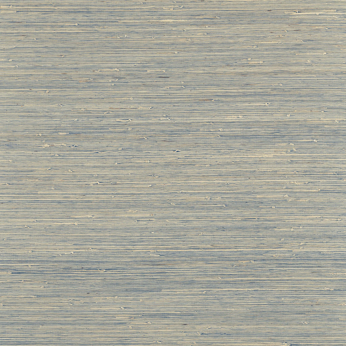 Thibaut SYDNEY Royal Blue Wallpaper