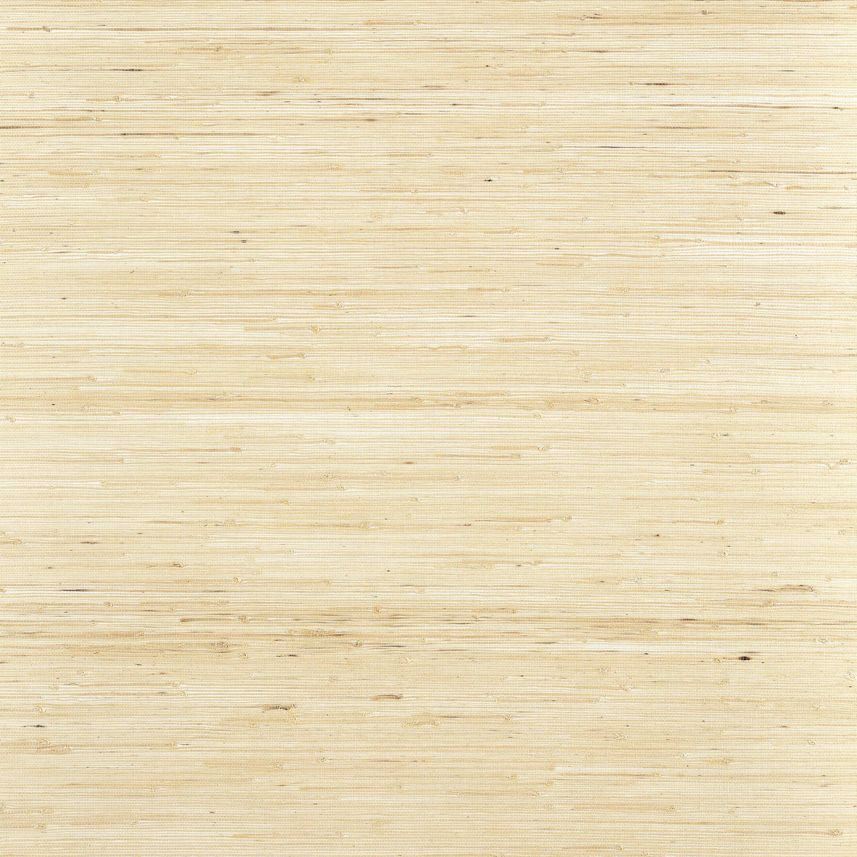 Thibaut SYDNEY Paperwhite Wallpaper