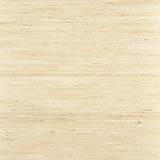 Thibaut SYDNEY Paperwhite Wallpaper