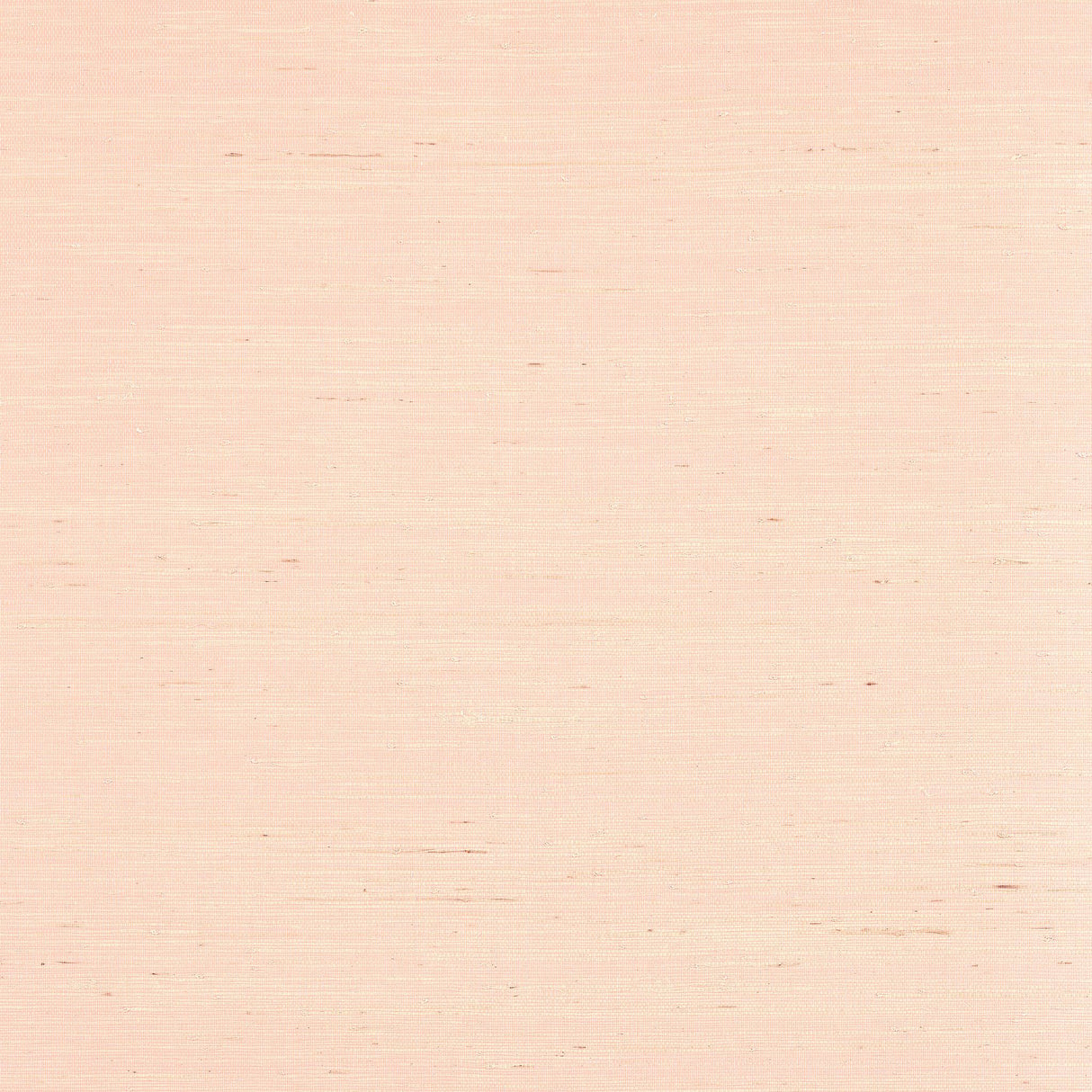 Thibaut SYDNEY Seashell Wallpaper