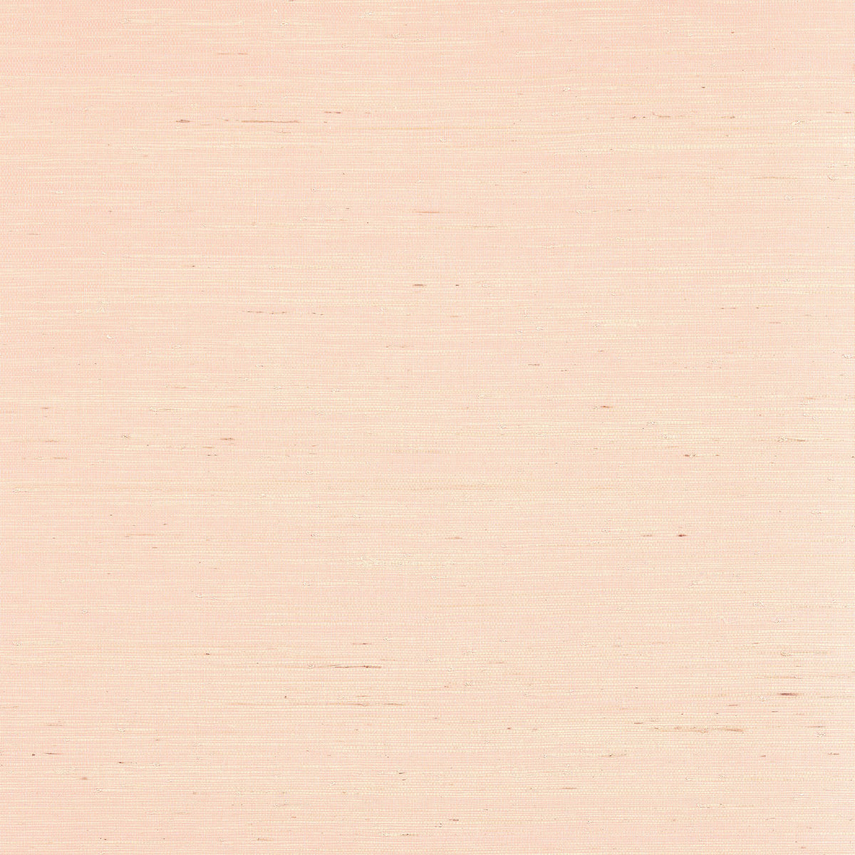 Thibaut Sydney Seashell Wallpaper