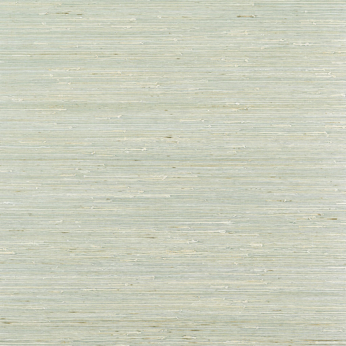 Thibaut SYDNEY Light Spruce Wallpaper