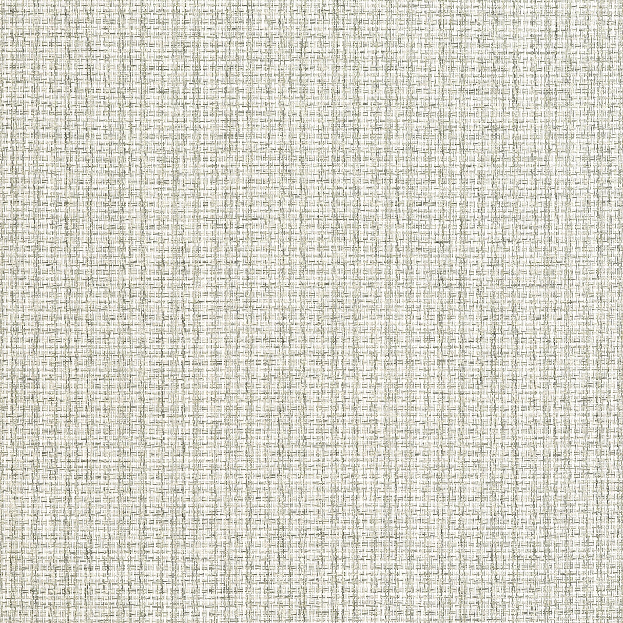 Thibaut Coastline Light Moss Wallpaper