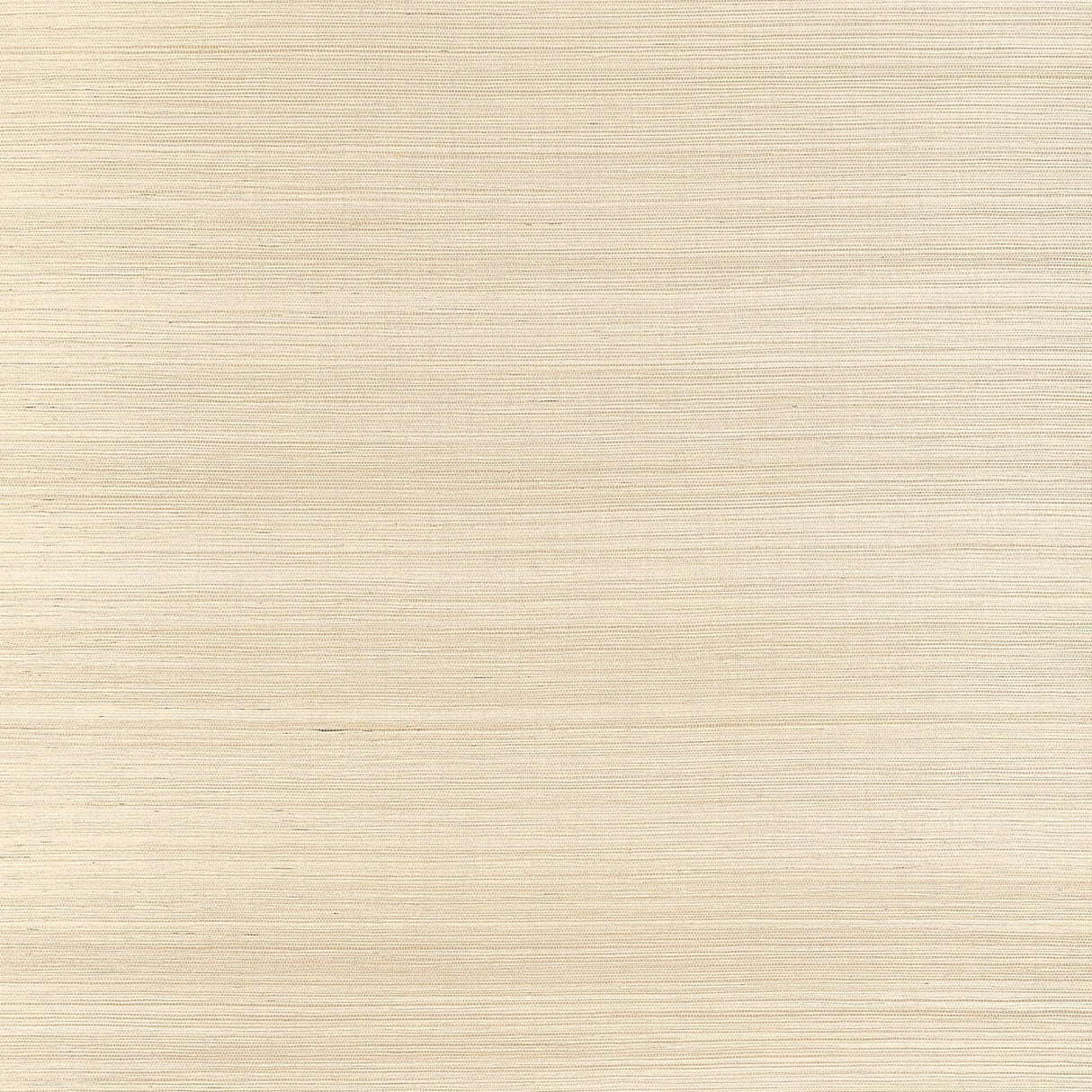 Thibaut WINDWARD SISAL Sand Wallpaper