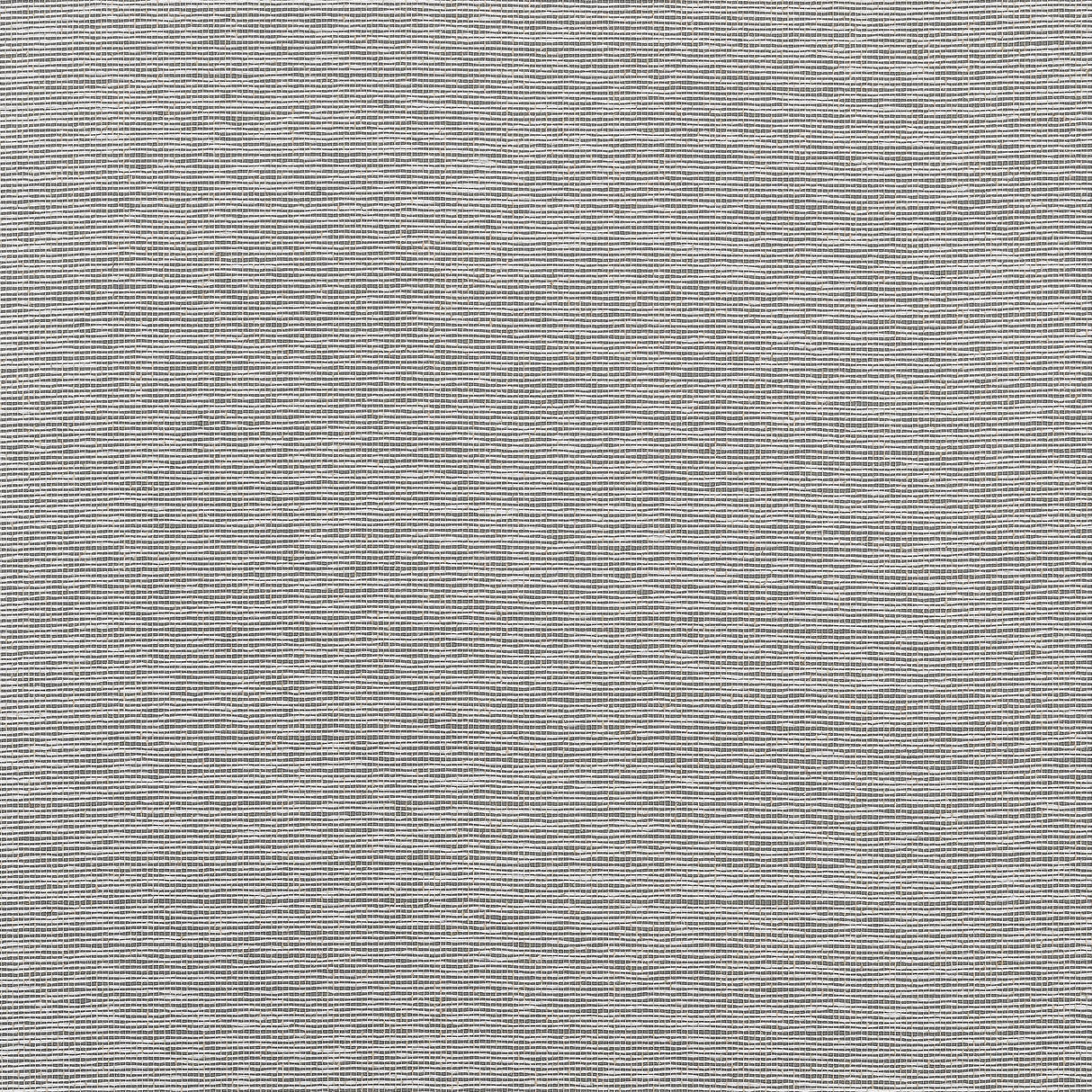 Thibaut EDWARD'S PAPER Charcoal Wallpaper