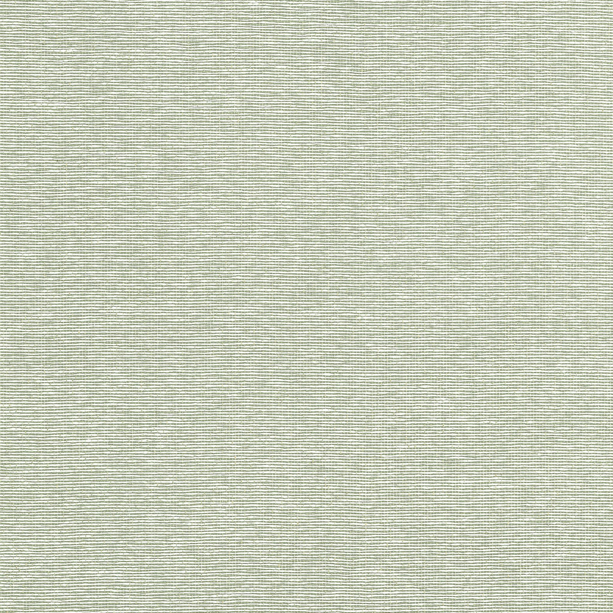 Thibaut EDWARD'S PAPER Green Wallpaper