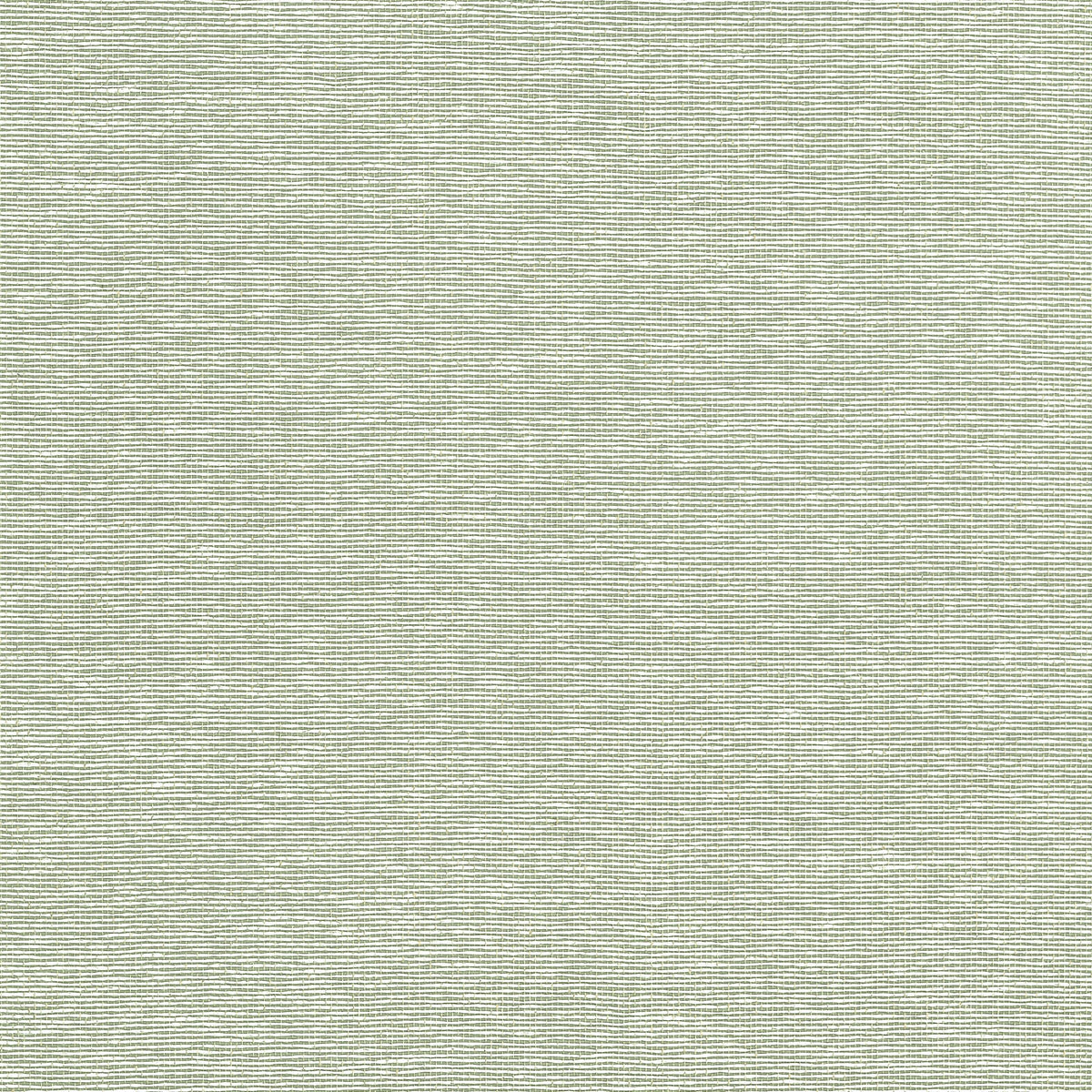 Thibaut Edward'S Paper Green Wallpaper
