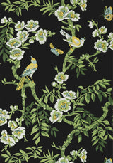 Thibaut YUKIO Black Wallpaper