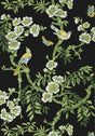 Thibaut YUKIO Black Wallpaper