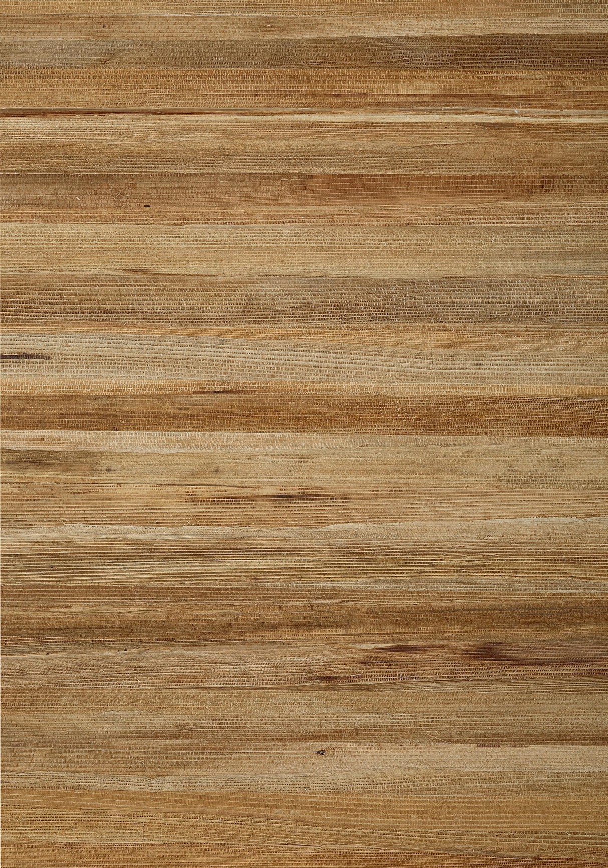 Thibaut LA PALMA Bark Wallpaper
