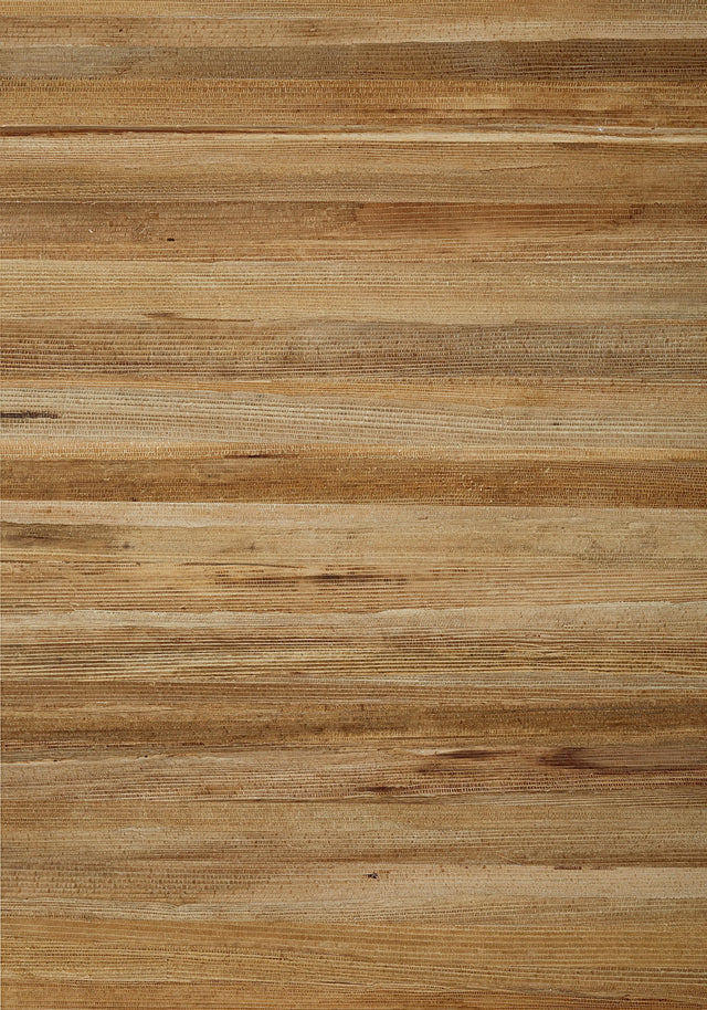 Thibaut LA PALMA Bark Wallpaper