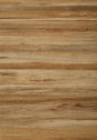 Thibaut LA PALMA Bark Wallpaper