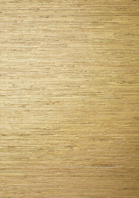 Thibaut SUTTON Metallic Gold Wallpaper