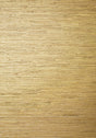 Thibaut SUTTON Metallic Gold Wallpaper