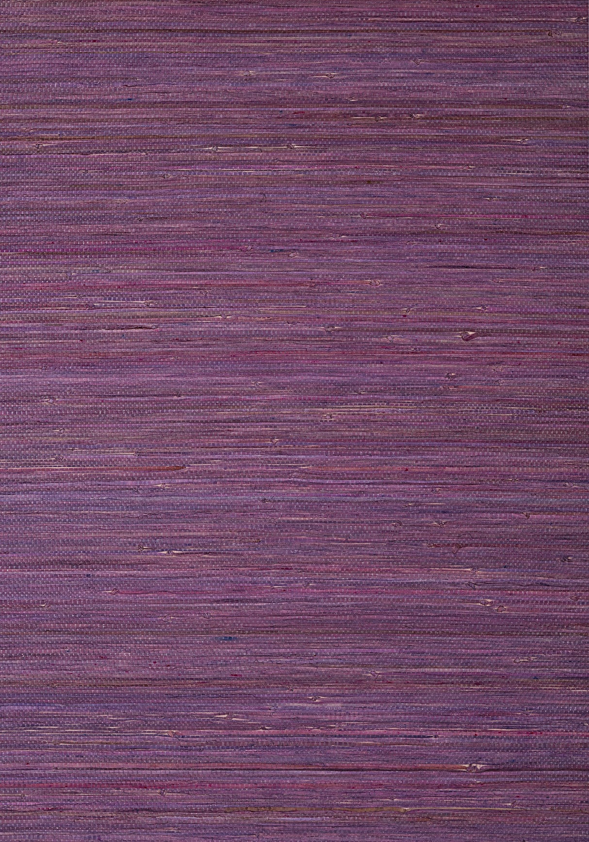 Thibaut RAFFIA PALM Plum Wallpaper