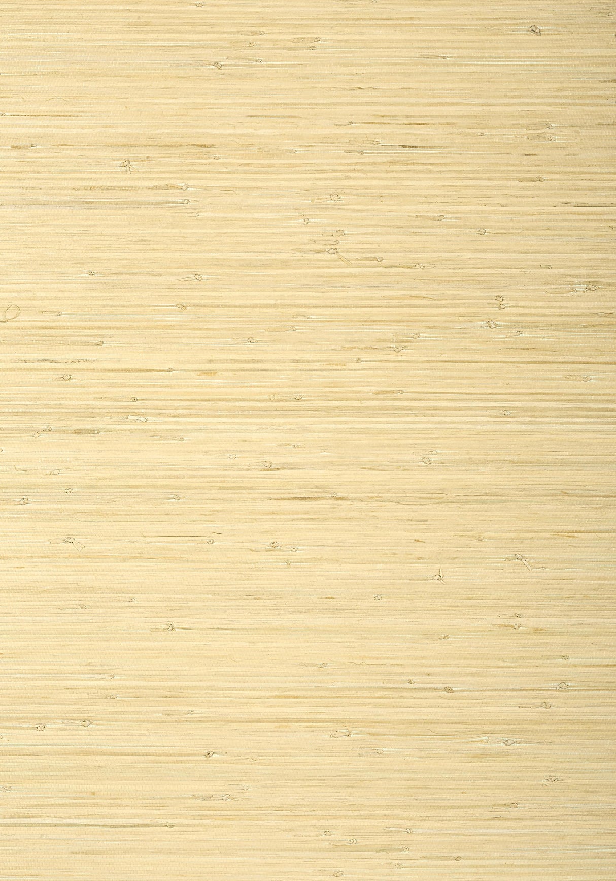 Thibaut RAFFIA PALM Natural Wallpaper