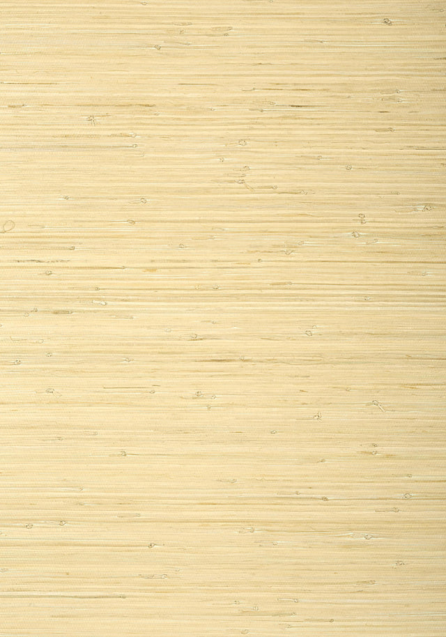 Thibaut RAFFIA PALM Natural Wallpaper