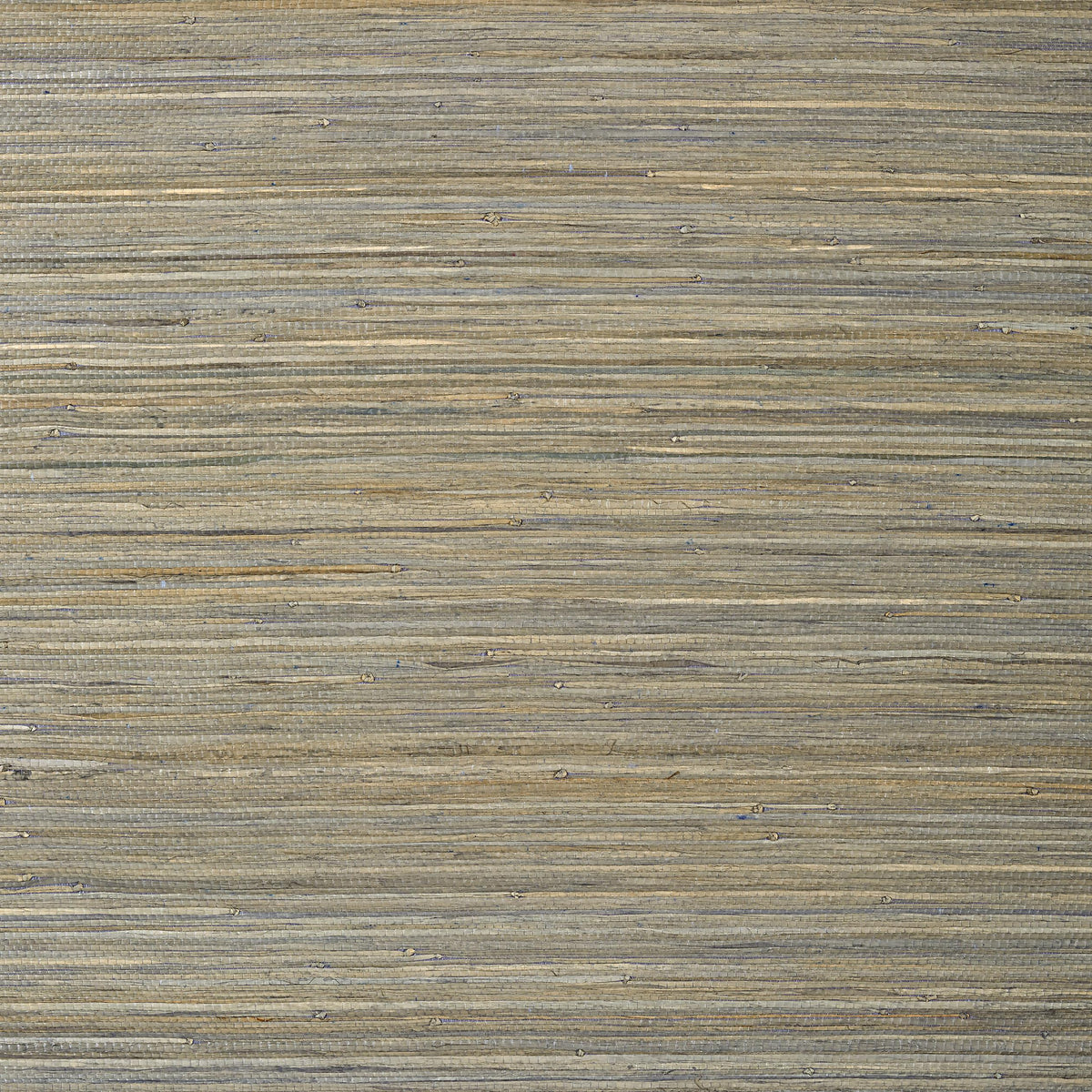 Thibaut Raffia Palm Grey Wallpaper