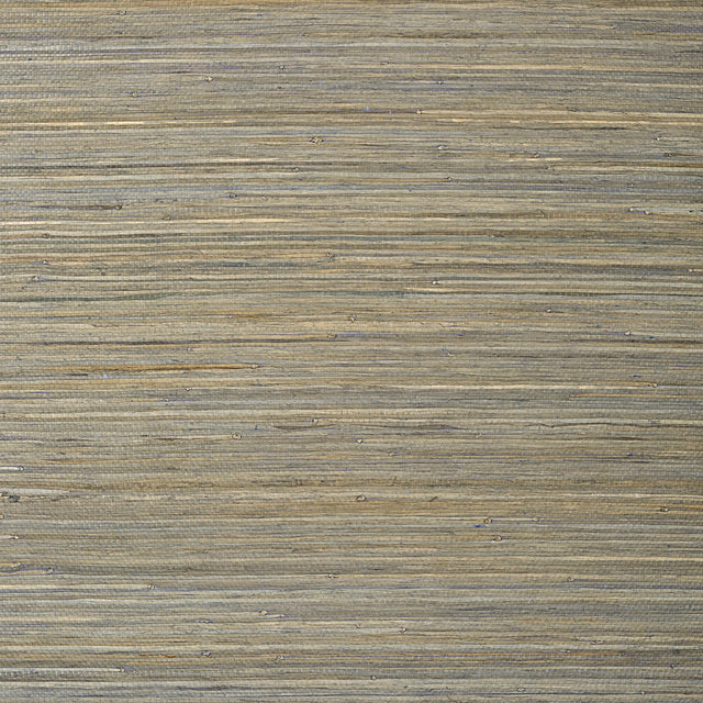 Thibaut Raffia Palm Grey Wallpaper