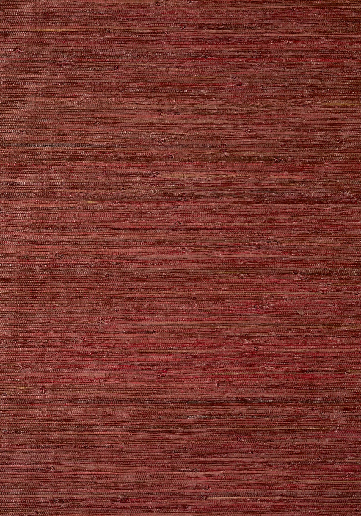 Thibaut RAFFIA PALM Sun Baked Wallpaper