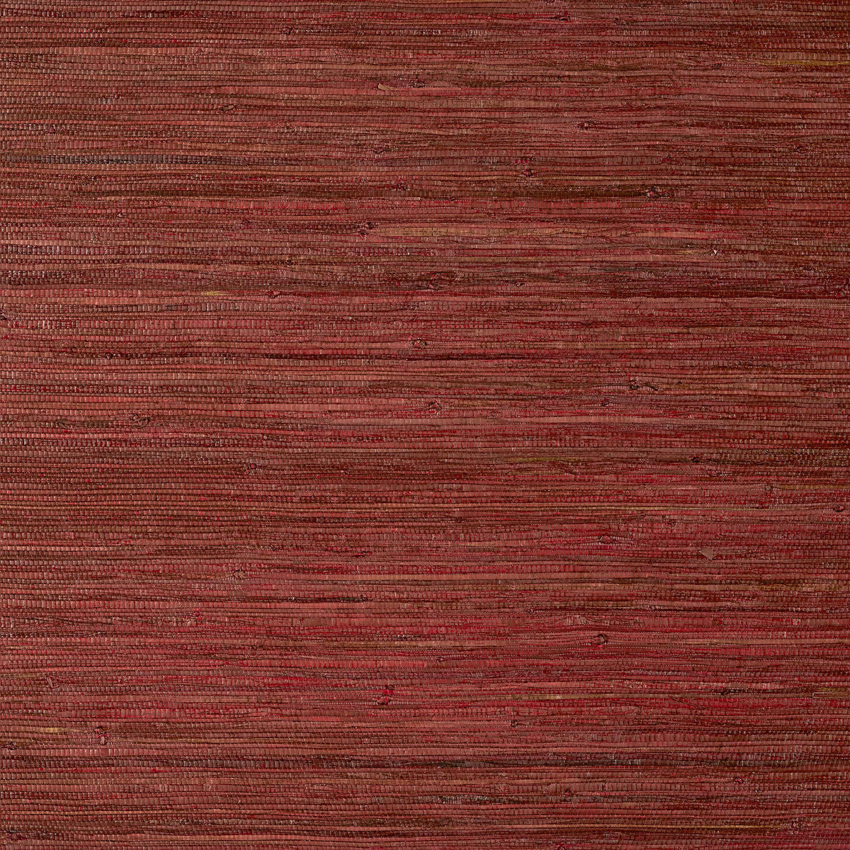 Thibaut Raffia Palm Sun Baked Wallpaper