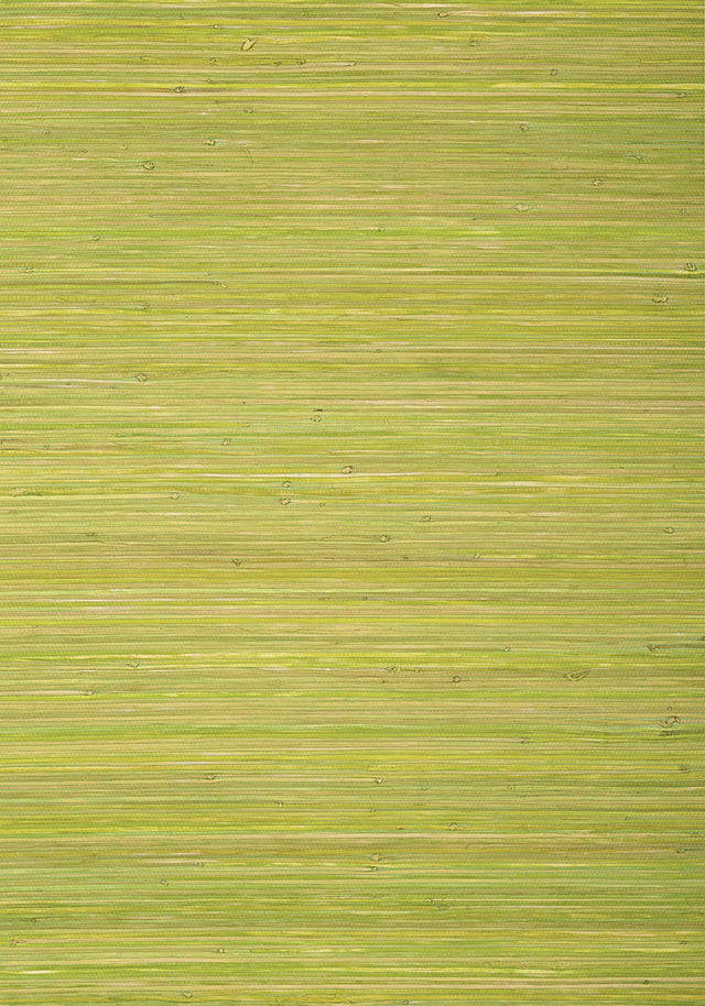 Thibaut RAFFIA PALM Apple Green Wallpaper