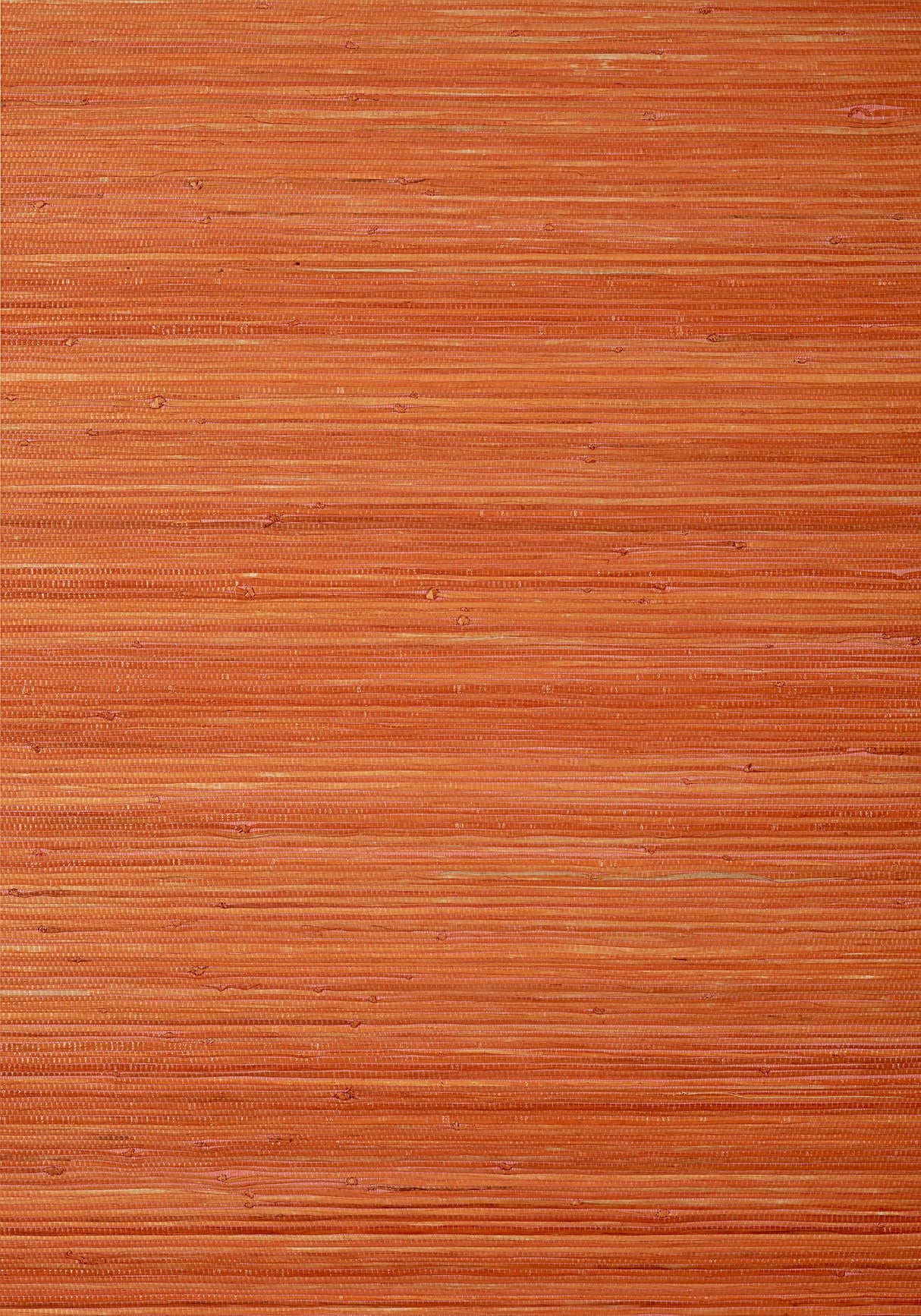 Thibaut RAFFIA PALM Orange Wallpaper
