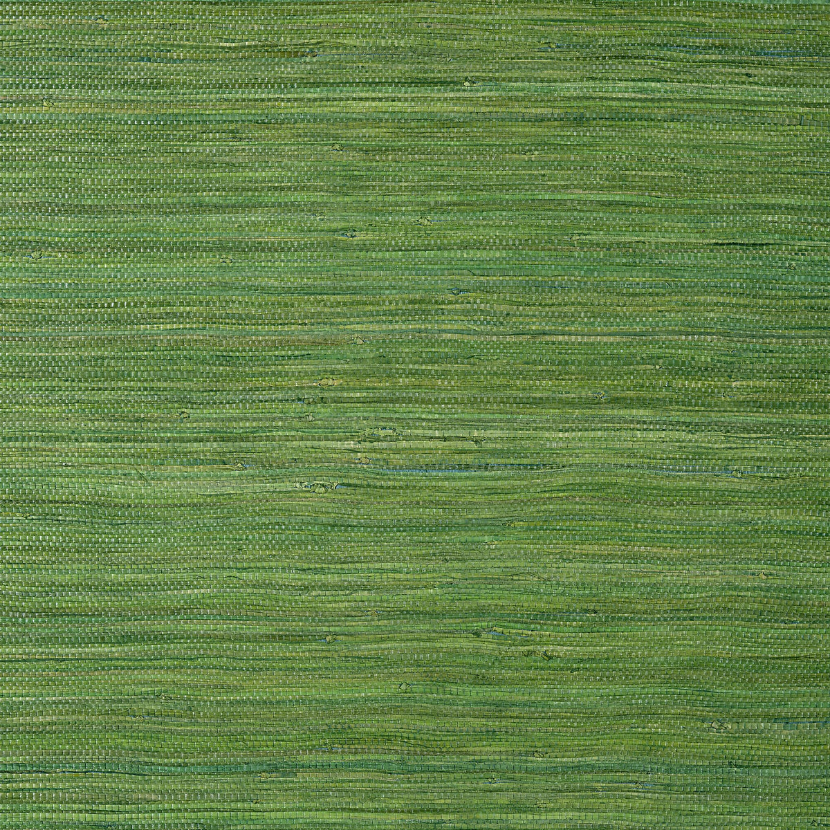 Thibaut Raffia Palm Emerald Green Wallpaper