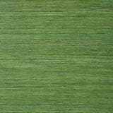 Thibaut Raffia Palm Emerald Green Wallpaper