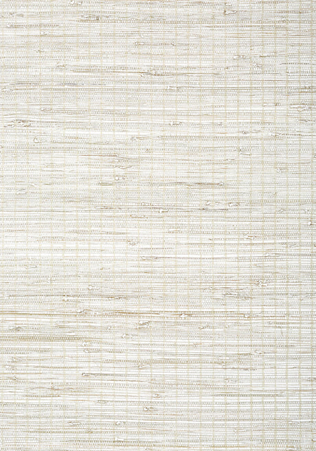 Thibaut SUTTON STRIPE Beige on White Wallpaper