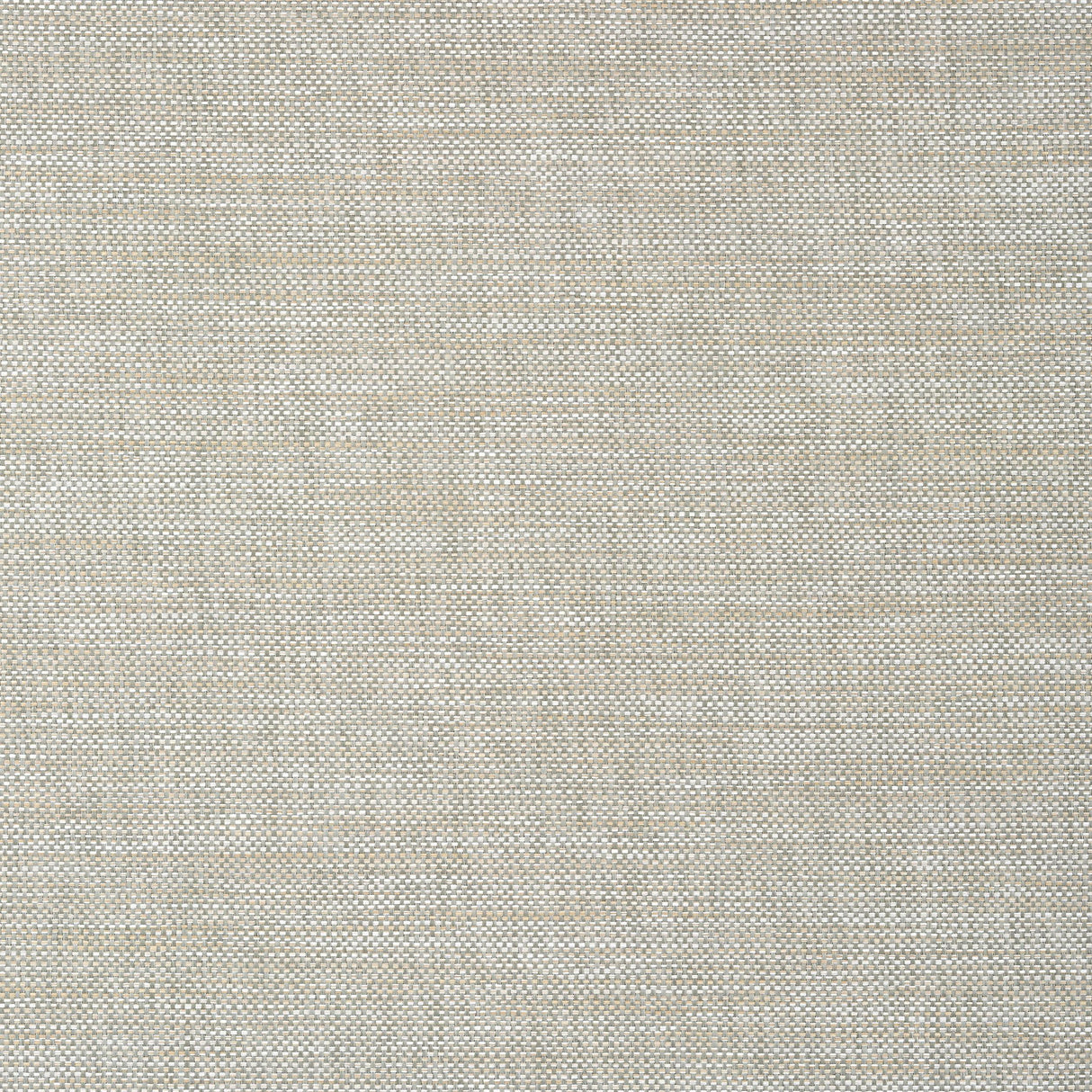 Thibaut Calistoga Sage Wallpaper