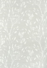 Thibaut WILD FLOWER Grey Wallpaper