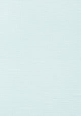 Thibaut TALUK SISAL Robin's Egg Wallpaper