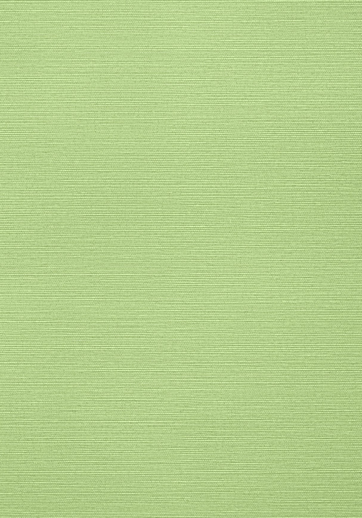 Thibaut TALUK SISAL Spring Wallpaper