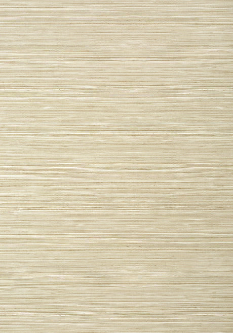 Thibaut KENDARI GRASS Sand Wallpaper