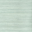 Thibaut Wild Silk Aqua Wallpaper