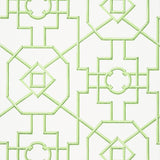 Thibaut Bamboo Lattice Green Wallpaper