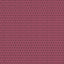 Thibaut MIMI Raspberry Wallpaper