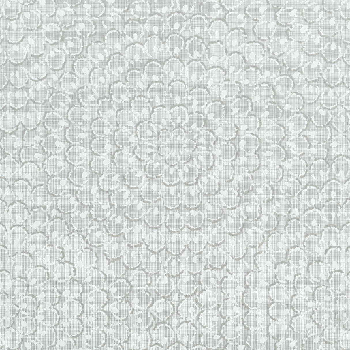 Thibaut Aster Grey Wallpaper